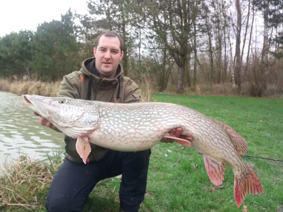 Cottage for 6 people in Chimay Chalet de l’Etang du Marteau